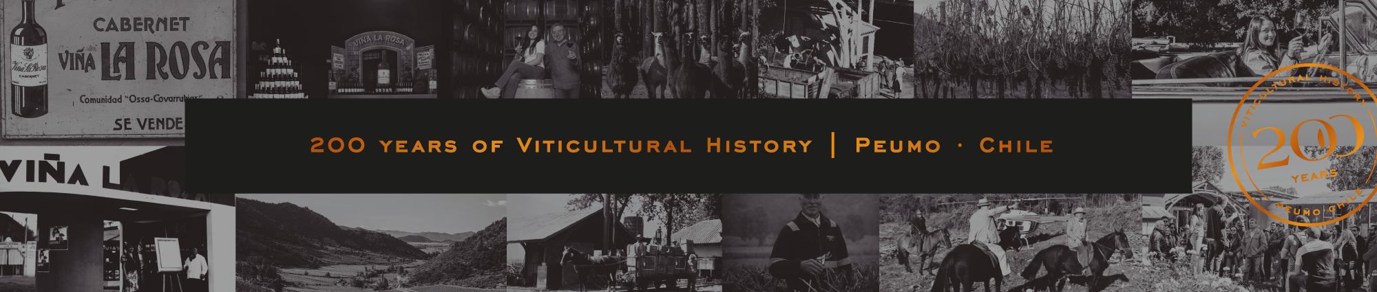 2BANNER_200_viticultural