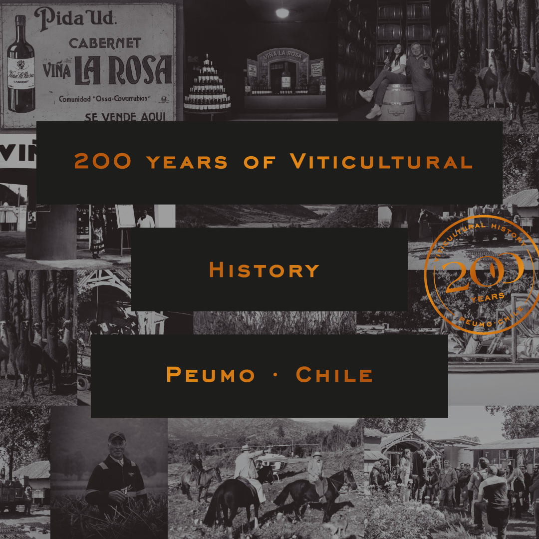 2BANNER_200_viticultural1x1